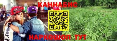 гашик Обнинск