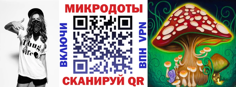 Галлюциногенные грибы GOLDEN TEACHER  закладки  Курганинск 