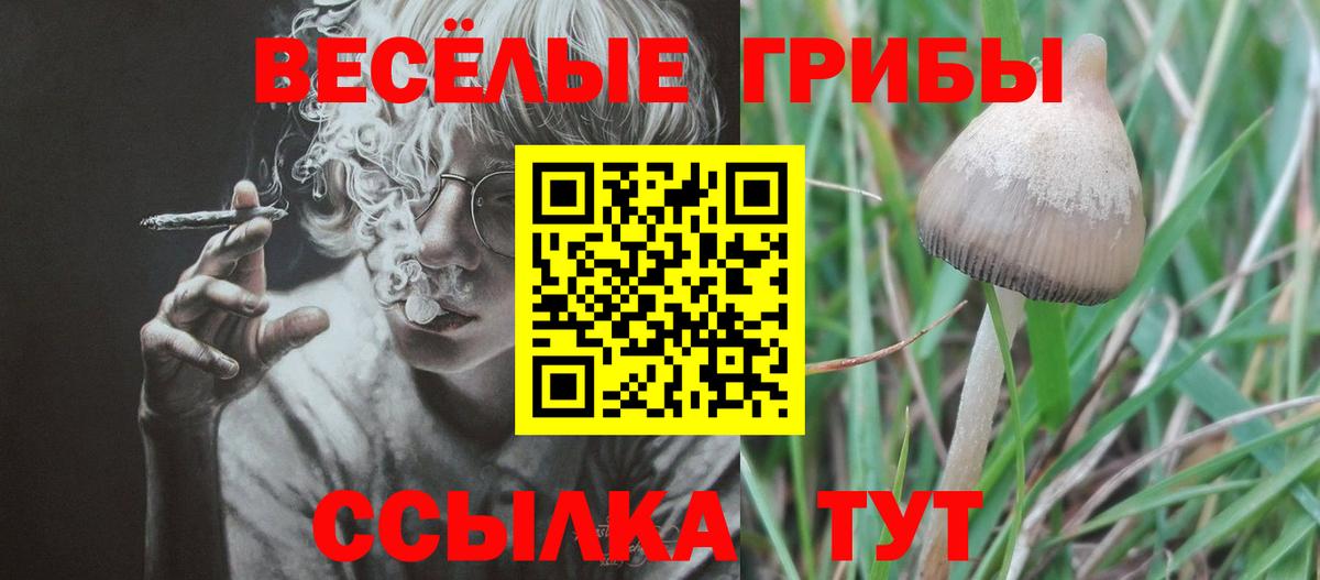 хочу   Галлюциногенные грибы Magic Shrooms  Вход с VPN  Курганинск  Псилоцибиновые грибы мицелий 